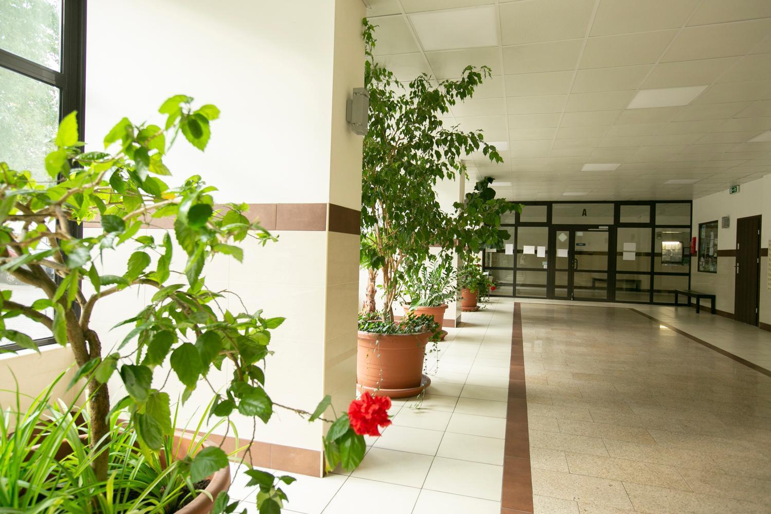 Butas Przechodnia 2 Yellow: Free Parking, Work-friendly, Smart Tv *